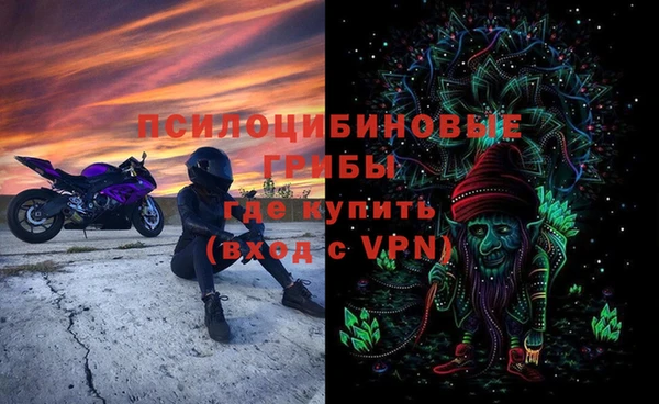 прущие крисы Гусиноозёрск